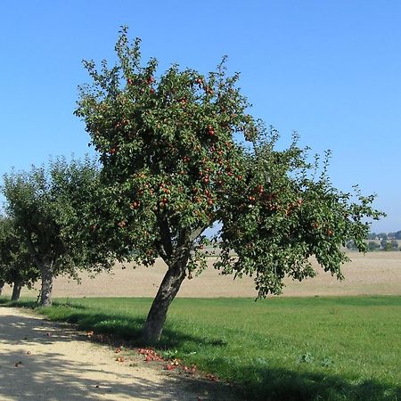 Fewo Muehlehof Konigshain Екстериор снимка